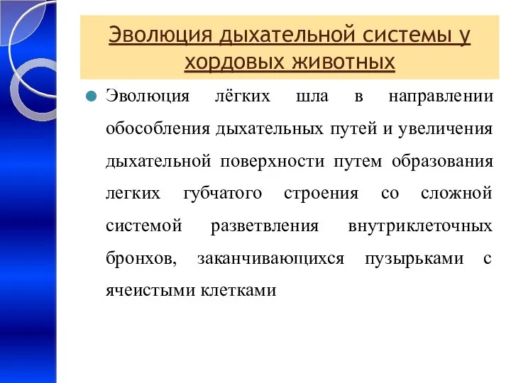 Эволюция дыхательной системы у хордовых животных Эволюция лёгких шла в направлении