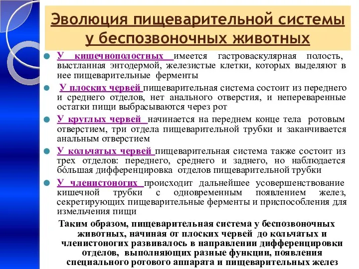 Эволюция пищеварительной системы у беспозвоночных животных У кишечнополостных имеется гастроваскулярная полость,