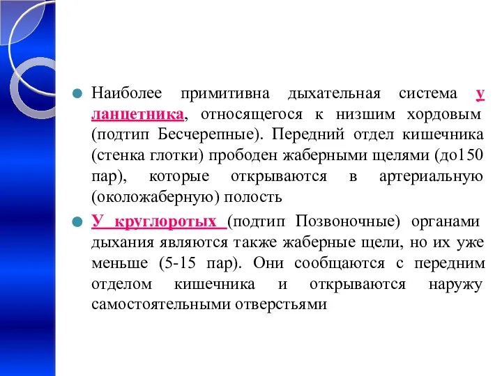 Наиболее примитивна дыхательная система у ланцетника, относящегося к низшим хордовым (подтип