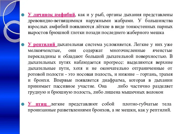 У личинок амфибий, как и у рыб, органы дыхания представлены древовидно-ветвящимися