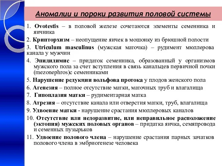 Аномалии и пороки развития половой системы 1. Ovotestis – в половой