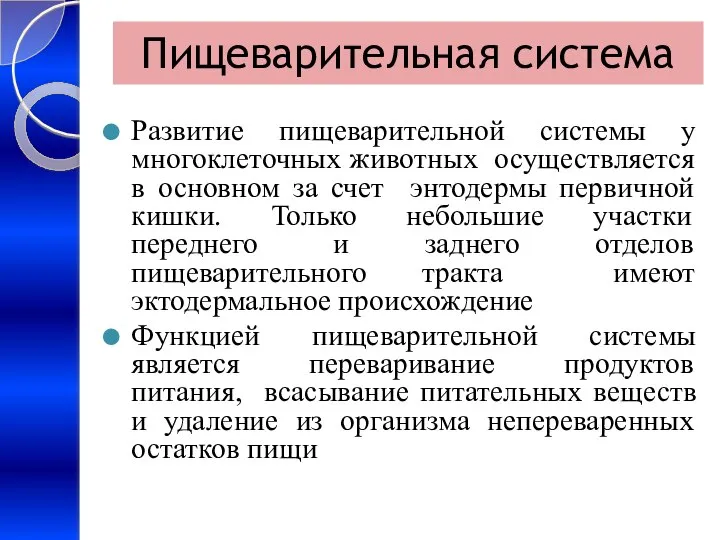 Пищеварительная система Развитие пищеварительной системы у многоклеточных животных осуществляется в основном