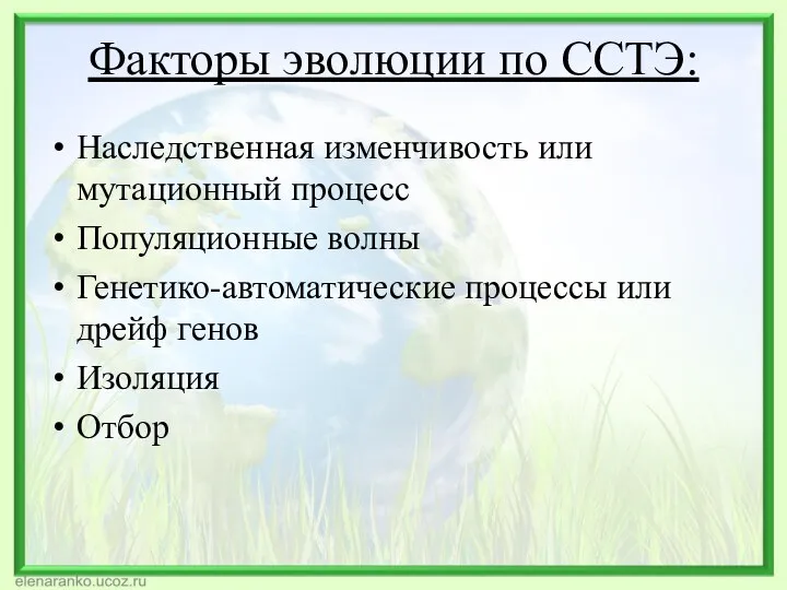 Факторы эволюции по ССТЭ: Наследственная изменчивость или мутационный процесс Популяционные волны