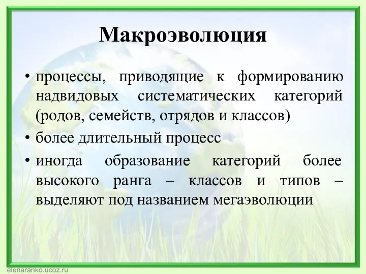 Макроэволюция процессы, приводящие к формированию надвидовых систематических категорий (родов, семейств, отрядов