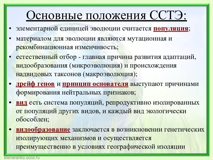 Основные положения ССТЭ: элементарной единицей эволюции считается популяция; материалом для эволюции