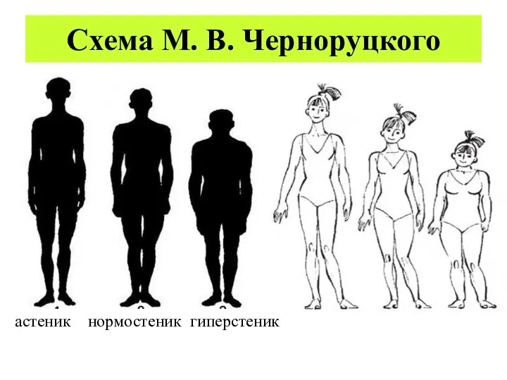 Схема М. В. Черноруцкого астеник нормостеник гиперстеник