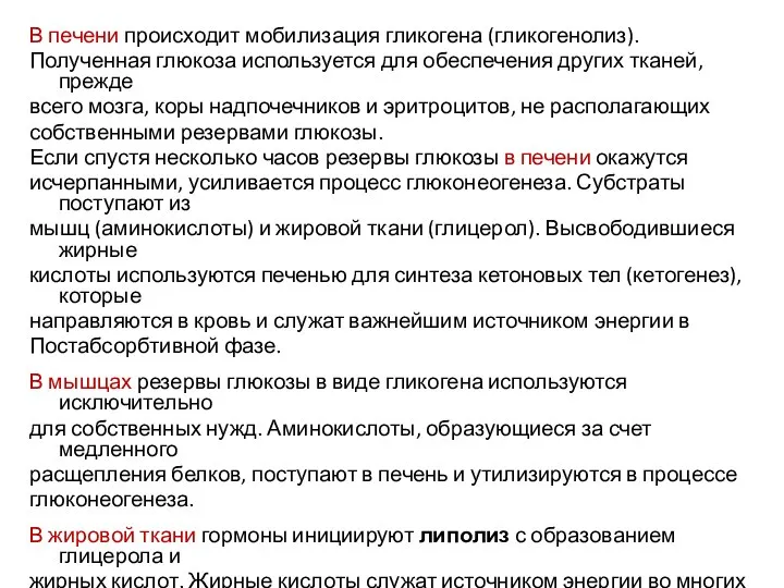 В печени происходит мобилизация гликогена (гликогенолиз). Полученная глюкоза используется для обеспечения