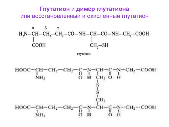 Глутатион и димер глутатиона или восстановленный и окисленный глутатион