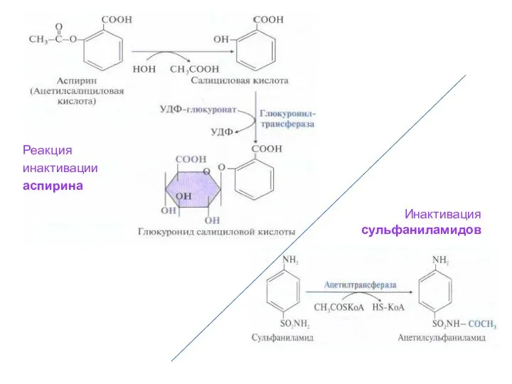 Реакция инактивации аспирина Инактивация сульфаниламидов