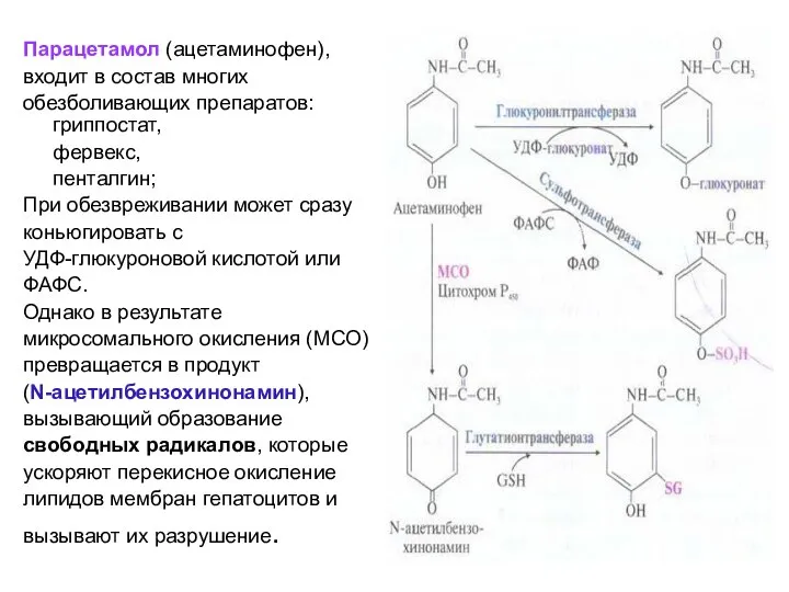 Парацетамол (ацетаминофен), входит в состав многих обезболивающих препаратов: гриппостат, фервекс, пенталгин;