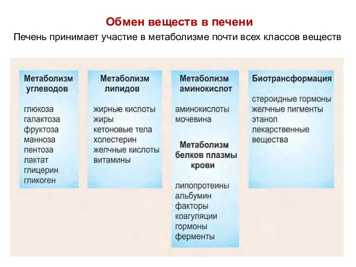 Обмен веществ в печени Печень принимает участие в метаболизме почти всех классов веществ