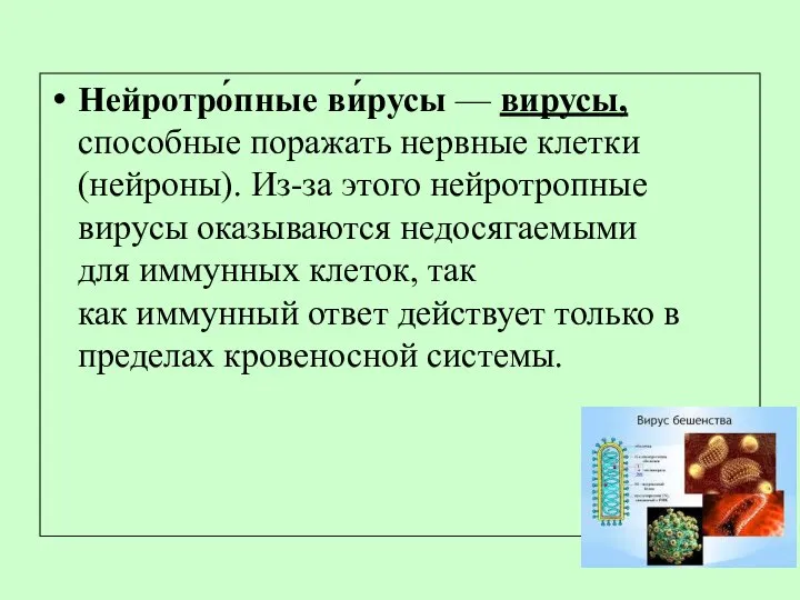 Нейротро́пные ви́русы — вирусы, способные поражать нервные клетки (нейроны). Из-за этого