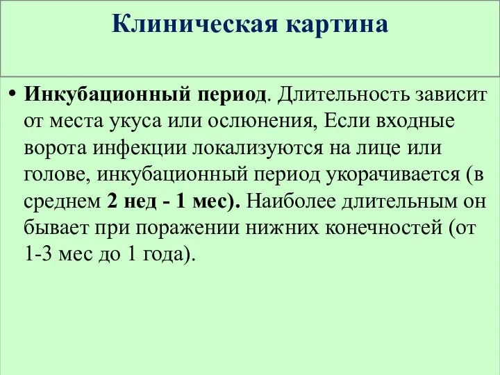 Клиническая картина Инкубационный период. Длительность зависит от места укуса или ослюнения,