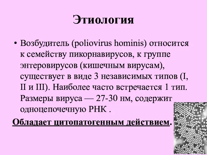 Этиология Возбудитель (poliovirus hominis) относится к семейству пикорнавирусов, к группе энтеровирусов