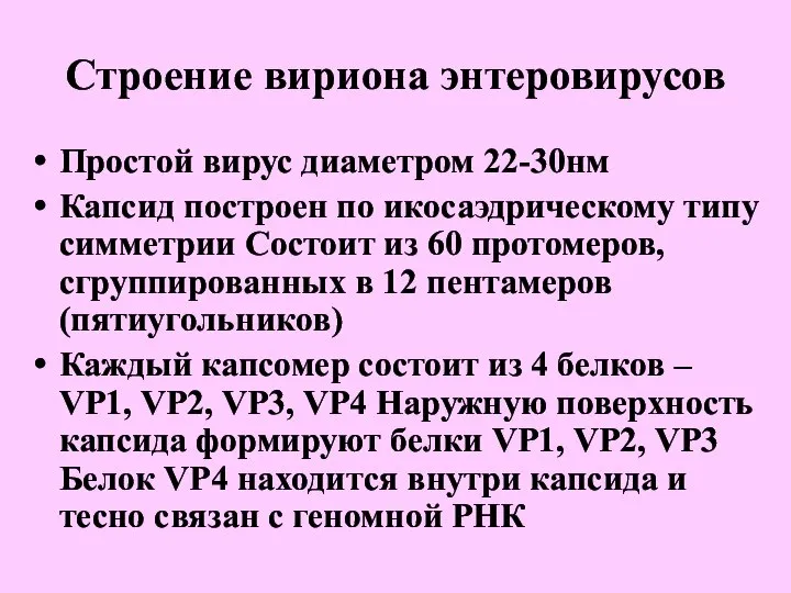 Строение вириона энтеровирусов Простой вирус диаметром 22-30нм Капсид построен по икосаэдрическому