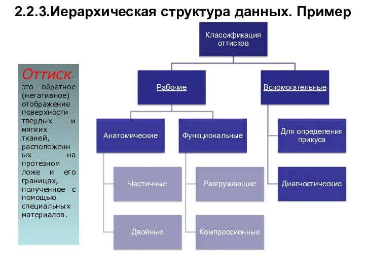 2.2.3.Иерархическая структура данных. Пример Оттиск-это обратное (негативное) отображение поверхности твердых и