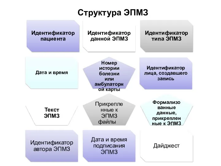 Структура ЭПМЗ