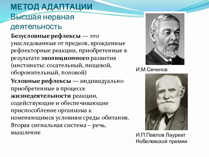 МЕТОД АДАПТАЦИИ Высшая нервная деятельность Безусловные рефлексы — это унаследованные от