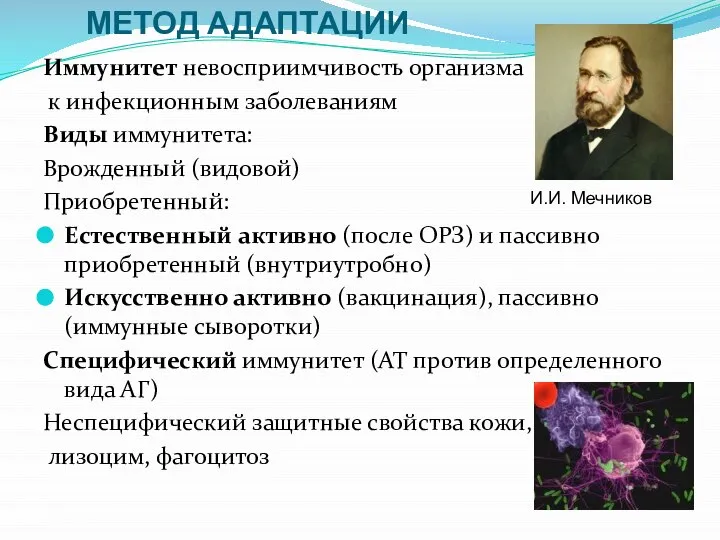 Иммунитет невосприимчивость организма к инфекционным заболеваниям Виды иммунитета: Врожденный (видовой) Приобретенный: