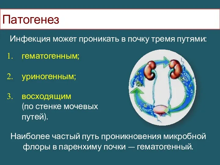 Патогенез гематогенным; уриногенным; восходящим (по стенке мочевых путей). Инфекция может проникать