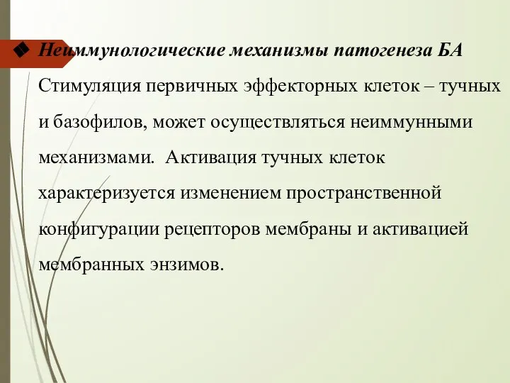 Неиммунологические механизмы патогенеза БА Стимуляция первичных эффекторных клеток – тучных и