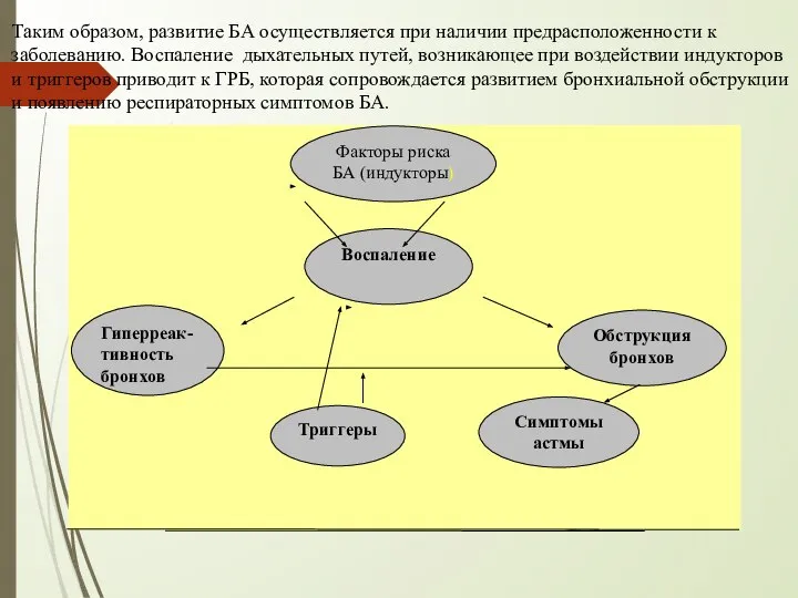 Таким образом, развитие БА осуществляется при наличии предрасположенности к заболеванию. Воспаление