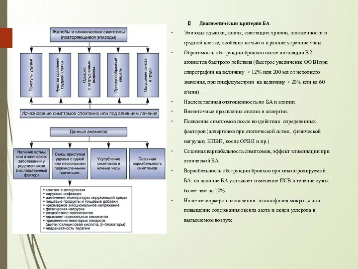 Диагностические критерии БА Эпизоды одышки, кашля, свистящих хрипов, заложенности в грудной