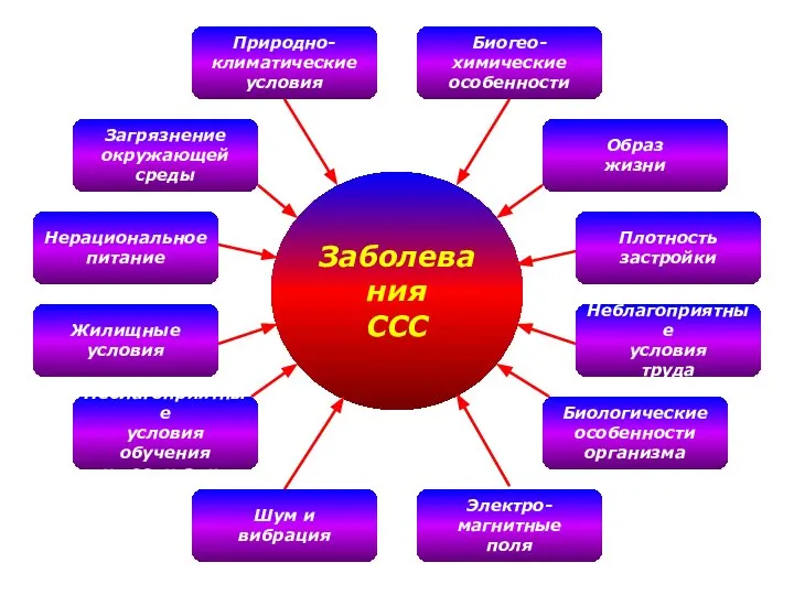 Заболевания ССС Природно- климатические условия Биогео- химические особенности Загрязнение окружающей среды