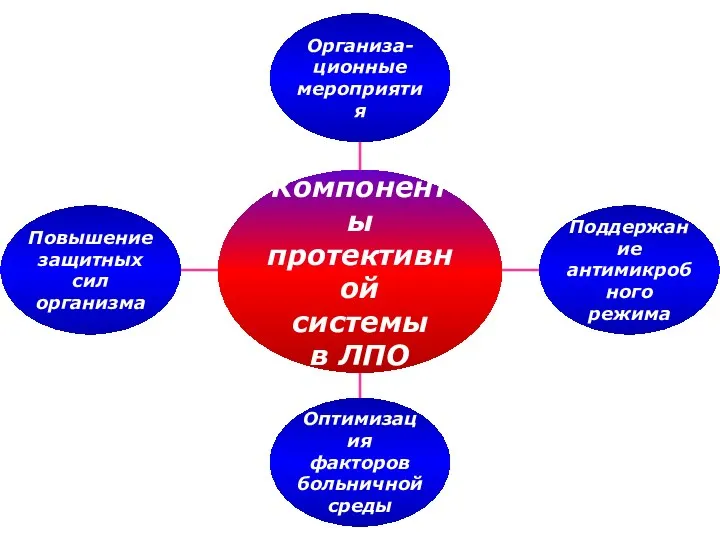 Компоненты протективной системы в ЛПО