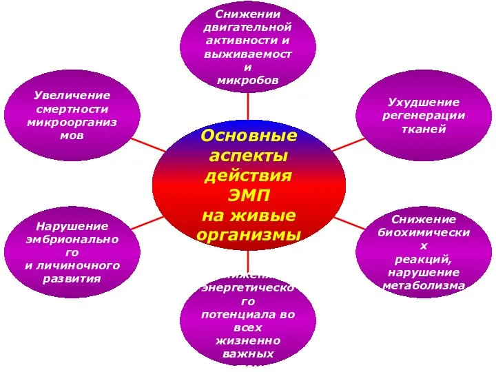 Основные аспекты действия ЭМП на живые организмы