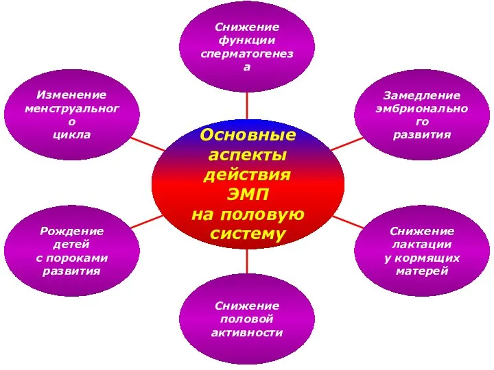 Основные аспекты действия ЭМП на половую систему