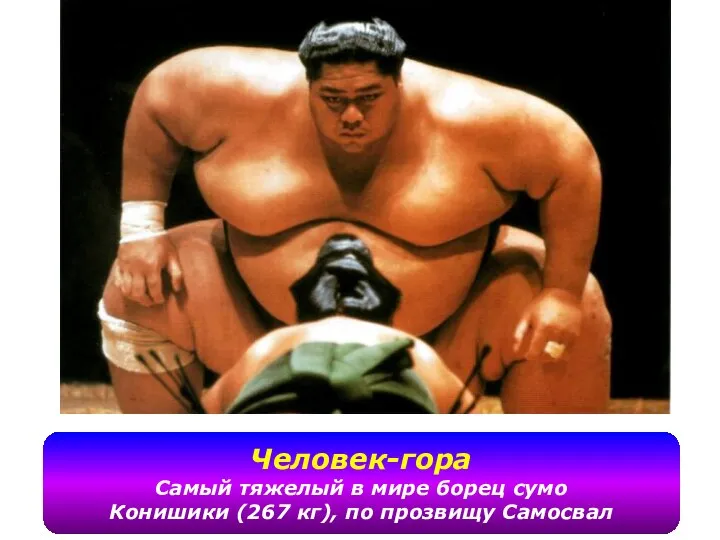 Человек-гора Самый тяжелый в мире борец сумо Конишики (267 кг), по прозвищу Самосвал