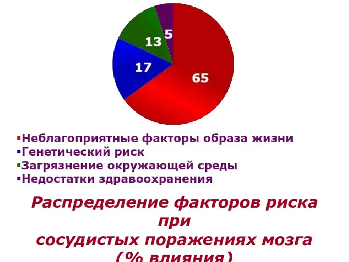 Распределение факторов риска при сосудистых поражениях мозга (% влияния)