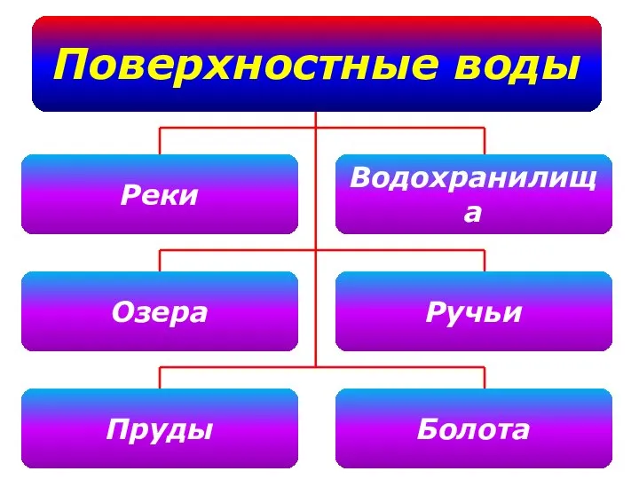 Поверхностные воды Реки Водохранилища Озера Пруды Ручьи Болота