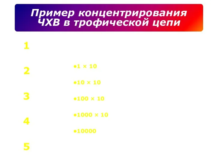 Ил, содержащий ДДТ 1 × 10 Водоросли 10 × 10 Мелкие