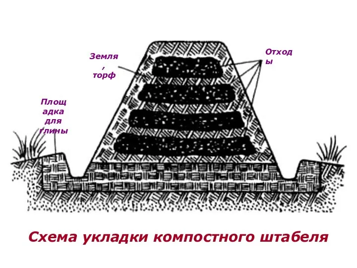 Земля, торф Отходы Площадка для глины Схема укладки компостного штабеля