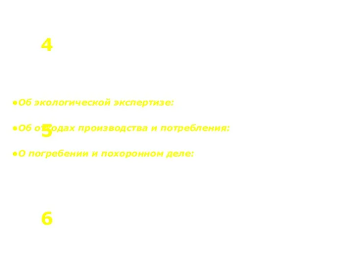 Об экологической экспертизе: Федеральный закон от 15.11.1995 г. № 199-ФЗ Об