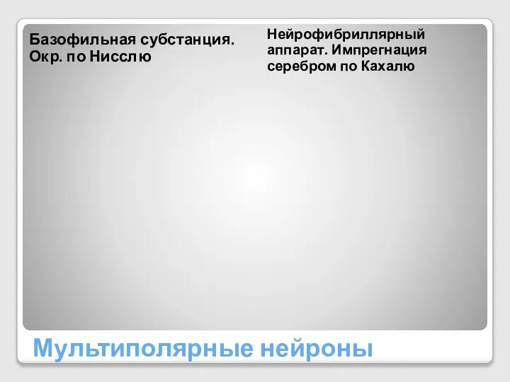 Мультиполярные нейроны Базофильная субстанция. Окр. по Нисслю Нейрофибриллярный аппарат. Импрегнация серебром по Кахалю