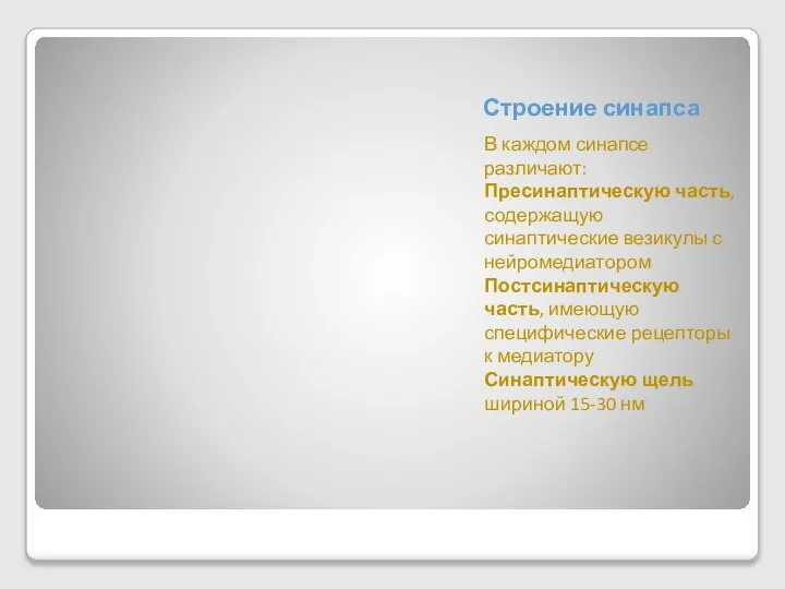 Строение синапса В каждом синапсе различают: Пресинаптическую часть, содержащую синаптические везикулы