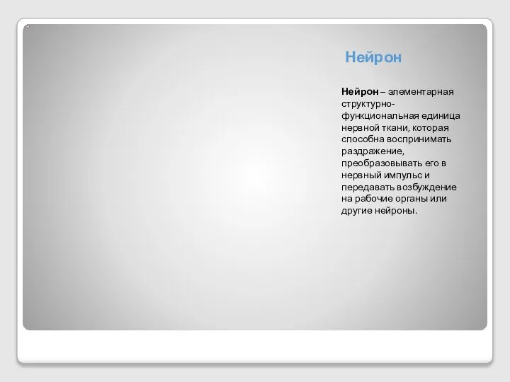 Нейрон Нейрон – элементарная структурно-функциональная единица нервной ткани, которая способна воспринимать