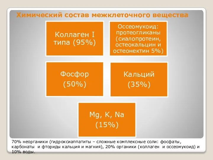 Химический состав межклеточного вещества 70% неорганики (гидроксиаппатиты – сложные комплексные соли: