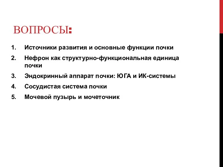 ВОПРОСЫ: Источники развития и основные функции почки Нефрон как структурно-функциональная единица