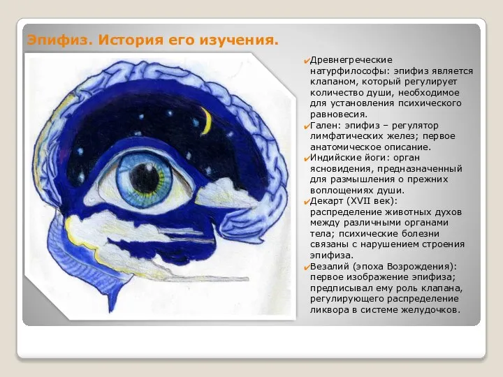 Эпифиз. История его изучения. Древнегреческие натурфилософы: эпифиз является клапаном, который регулирует