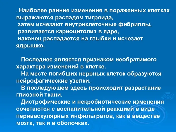 . Наиболее ранние изменения в пораженных клетках выражаются распадом тигроида, затем