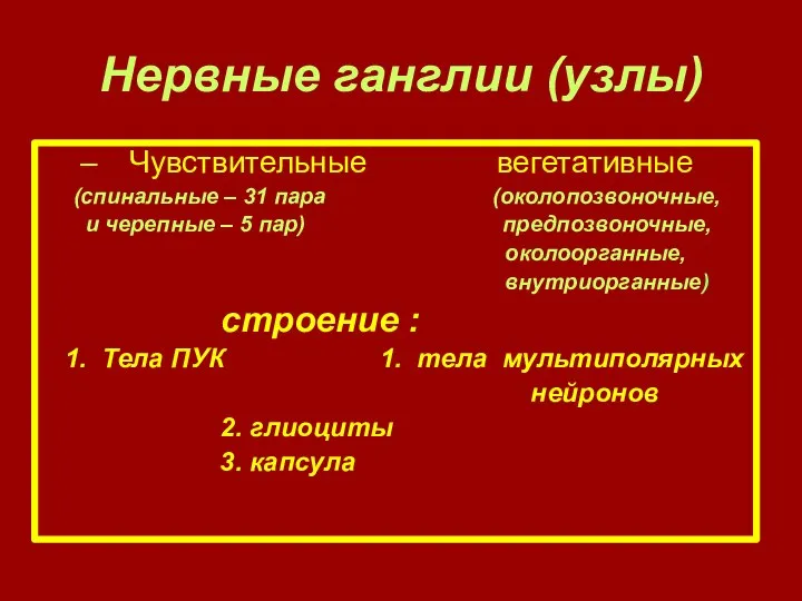 Нервные ганглии (узлы) Чувствительные вегетативные (спинальные – 31 пара (околопозвоночные, и