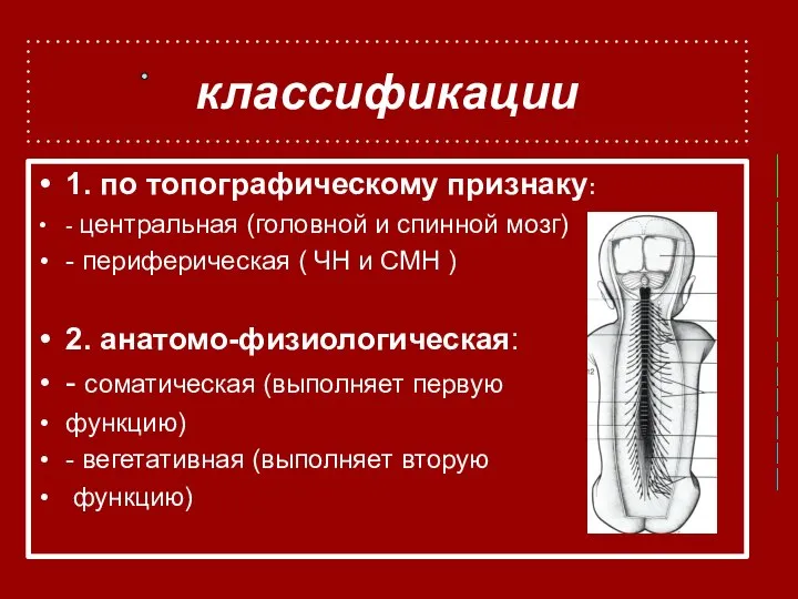 классификации 1. по топографическому признаку: - центральная (головной и спинной мозг)