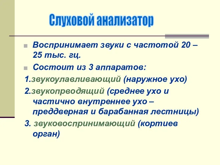 Воспринимает звуки с частотой 20 – 25 тыс. гц. Состоит из