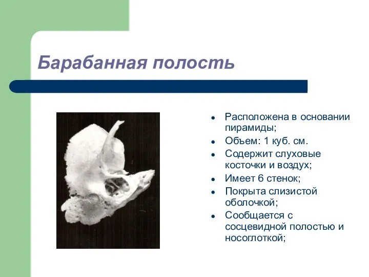 Барабанная полость Расположена в основании пирамиды; Объем: 1 куб. см. Содержит