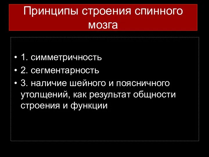 Принципы строения спинного мозга 1. симметричность 2. сегментарность 3. наличие шейного