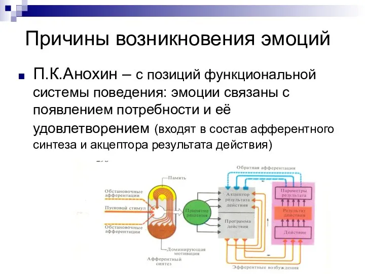 Причины возникновения эмоций П.К.Анохин – с позиций функциональной системы поведения: эмоции